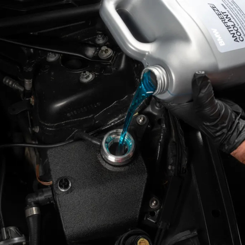 Blue coolant being poured into BMW engine during cooling system flush and refill service at Bimmer Tech in Los Angeles and Orange County